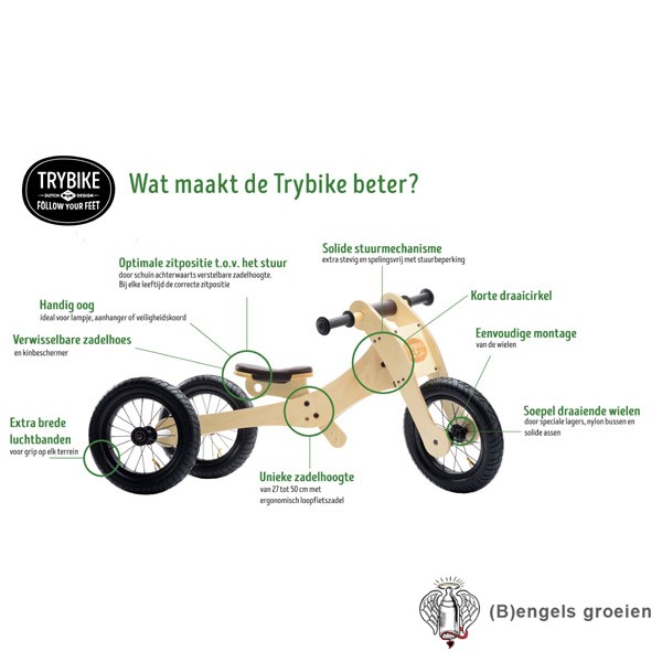 Trybike - 4 in 1 Loopfiets - Hout - Roze